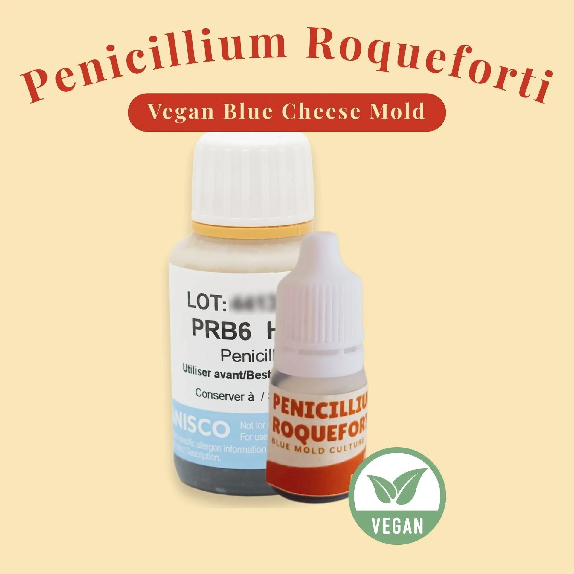 [PRB6-TETES] Penicillium Roqueforti