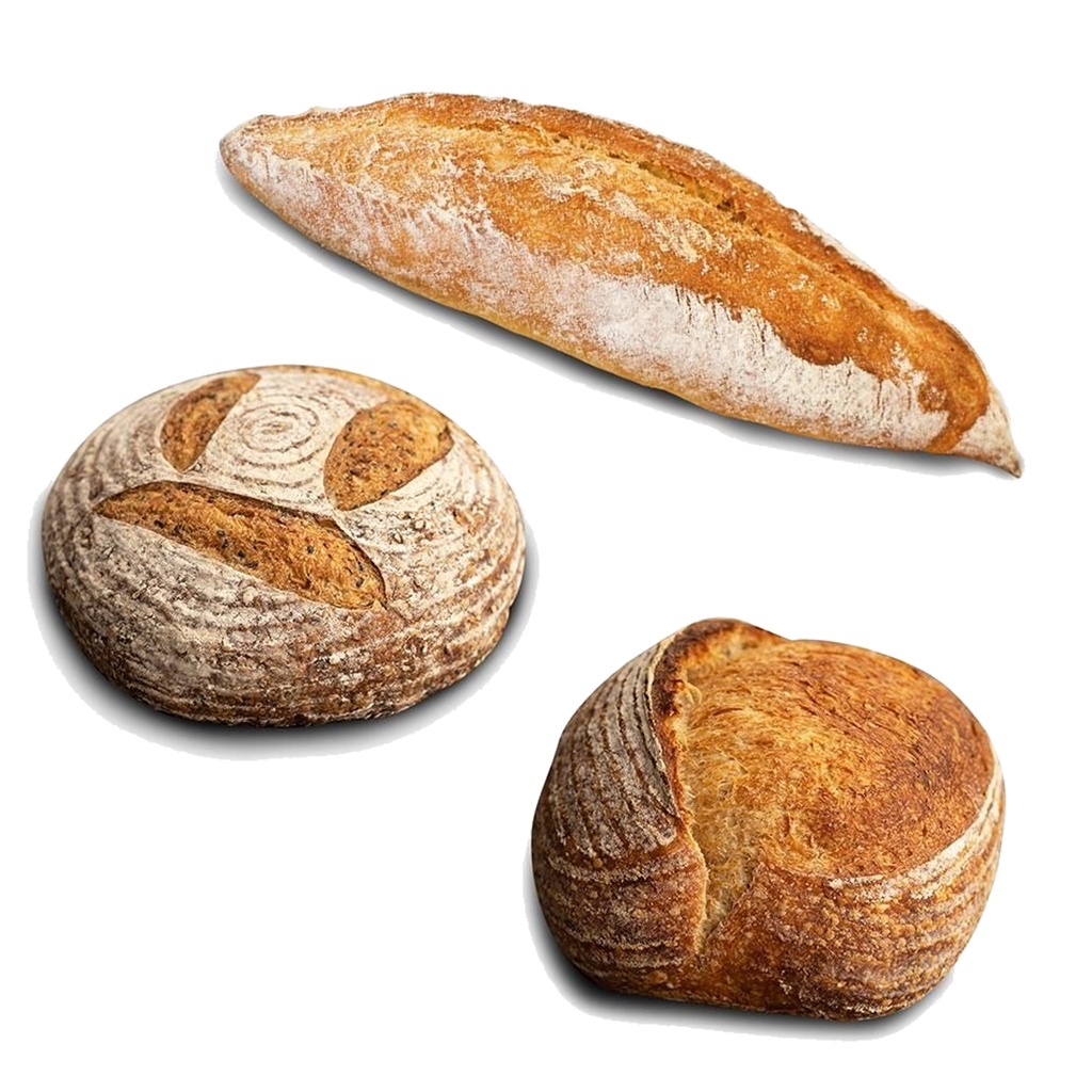Artisan Bread LAMA