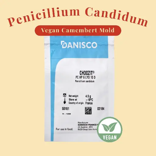 Penicillium Candidum PC HP6